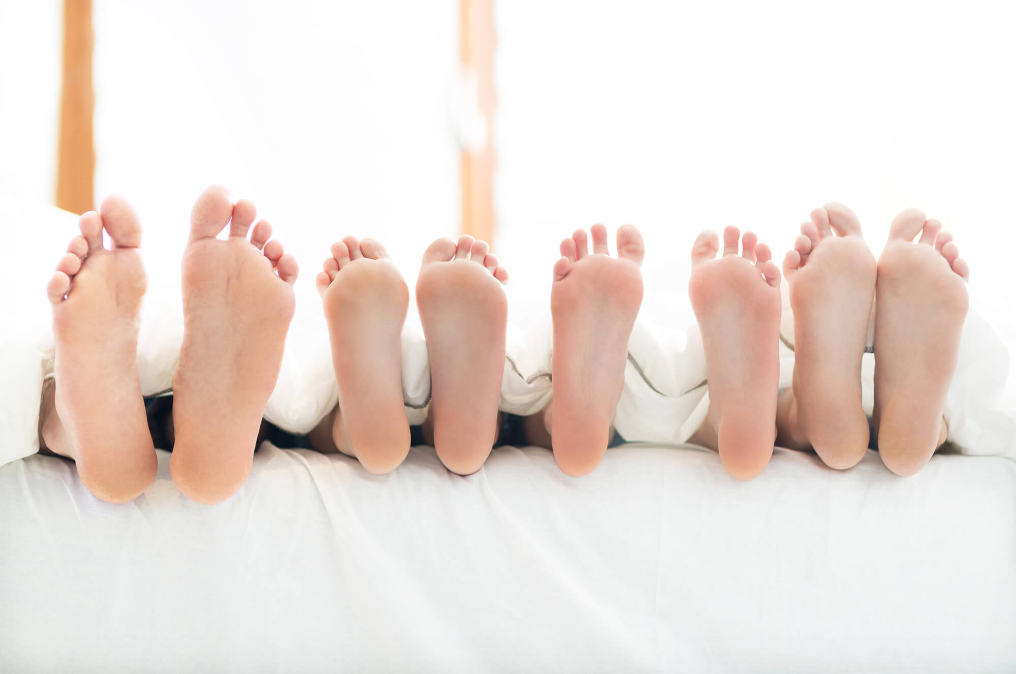 Feet of family in bed