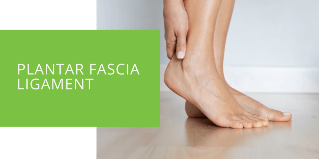 Plantar on sale fascia ligament