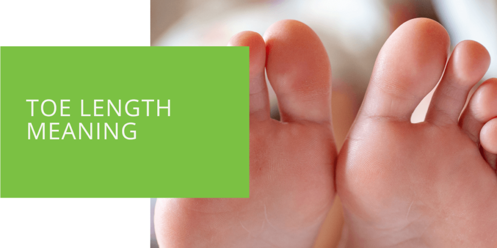 Toe Length Meaning