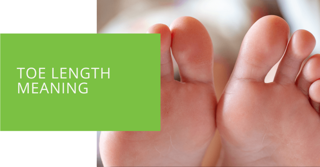 Toe Length Meaning