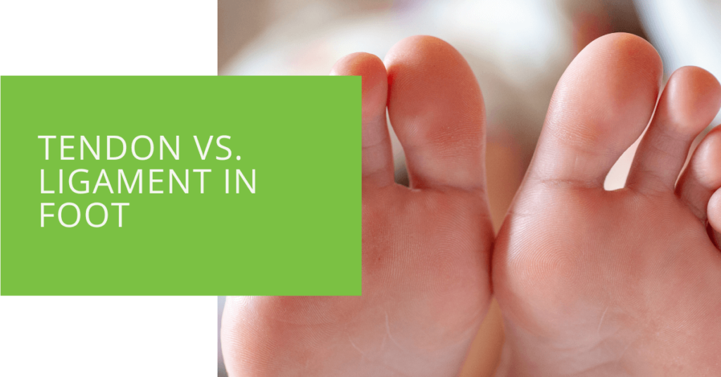 Tendon vs. Ligament in Foot